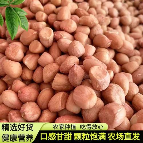花生米农家自种生花生豆不带壳白沙花生仁河南特产级榨油