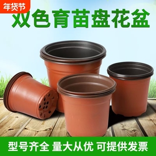 双色盆育苗盆塑料一次性简易花盆加厚大号多肉扦插盆营养杯育苗杯