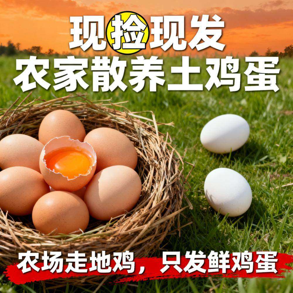 新鲜鸡蛋农家散养正宗土鸡蛋30枚散养谷物蛋鸡蛋无抗生素高蛋白,水产肉类/新鲜蔬果/熟食,鸡蛋,淘宝优惠券,粉丝福利购,淘宝优惠卷