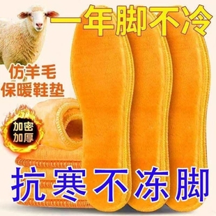 冬季 垫子保暖防冻脚透气吸汗男女加绒发热防臭 加绒加厚黄金绒棉鞋