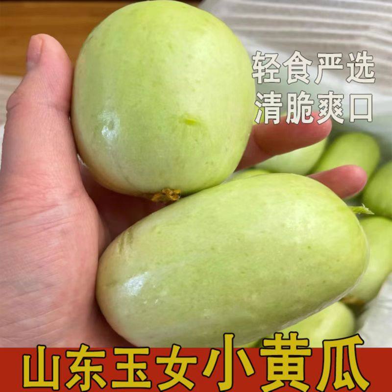 玉女水果黄瓜玉女黄瓜水果小黄瓜口感脆甜蔬菜水果黄瓜拇指黄瓜,水产肉类/新鲜蔬果/熟食,黄瓜,淘宝优惠券,粉丝福利购,淘宝优惠卷