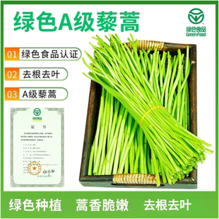 新鲜芦蒿藜蒿泥蒿净菜去根去叶当季蔬菜鲜嫩