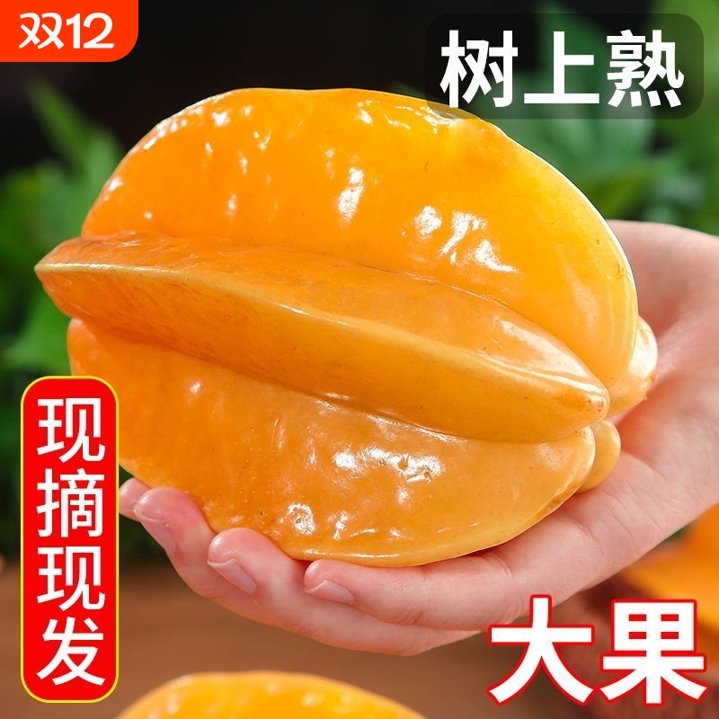 五斤【现摘现发】甜杨桃水果新鲜批发降火水果应季水果