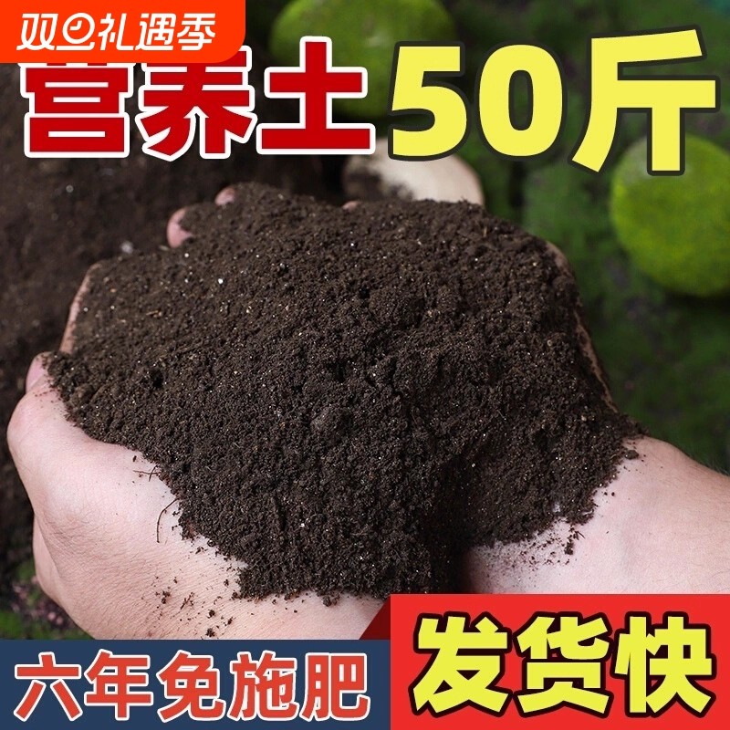 营养土养花种菜土专用多肉土通用型种花土壤种菜泥土家用种植土