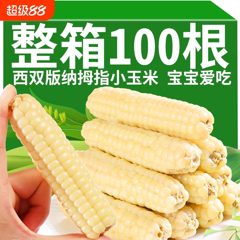 5斤云南西双版纳拇指小玉米