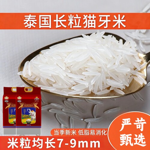 泰国原粮进口猫牙米长粒香米2025新米一级炒饭专用新大米真空当季