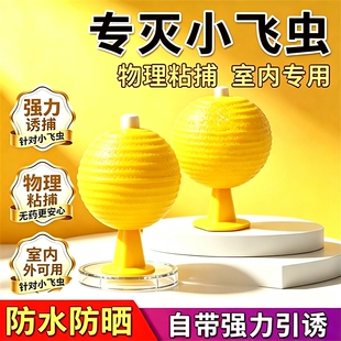 果蝇小飞虫诱捕器粘虫球灭杀神器室内去除飞虫厨房蠓虫诱苍蝇强力