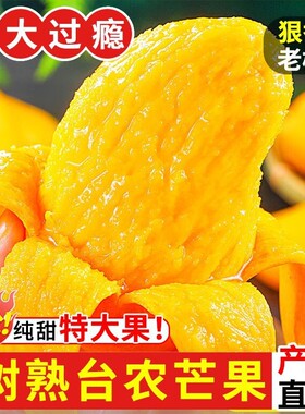 正宗大台芒芒果新鲜现摘青皮大果金煌芒应季热带当季特产整箱鲜果