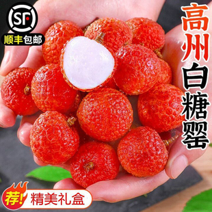 高州白糖罂荔枝顺丰新鲜水果产地直发应季老树3/5斤现摘大果原产