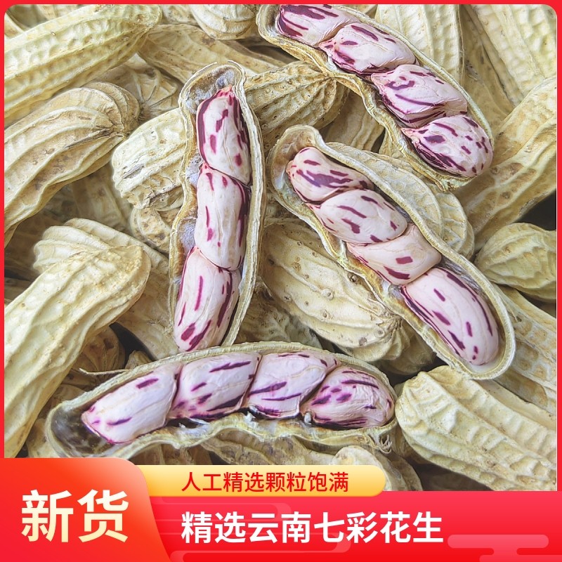 2025新货云南七彩花生五彩晒干带壳熟水煮咸干花生米新鲜健康特色