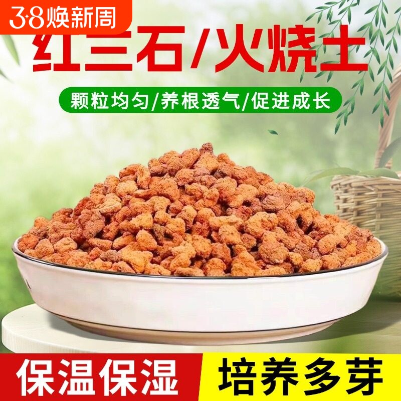 红火山石颗粒火山岩铺底兰花专用土多肉营养土水族鱼缸垫底砂铺面