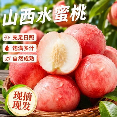 山西水蜜桃毛桃正宗桃子4.5斤 单果130g+