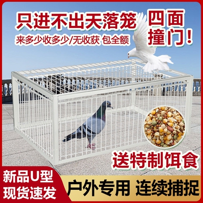 天落笼鸽子笼加密活络门只进不出