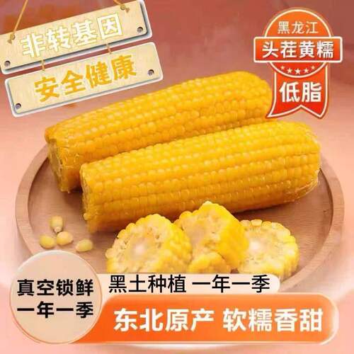 正宗东北新鲜黄糯玉米甜糯粘真空装非转基因粘玉米早餐代餐玉米棒