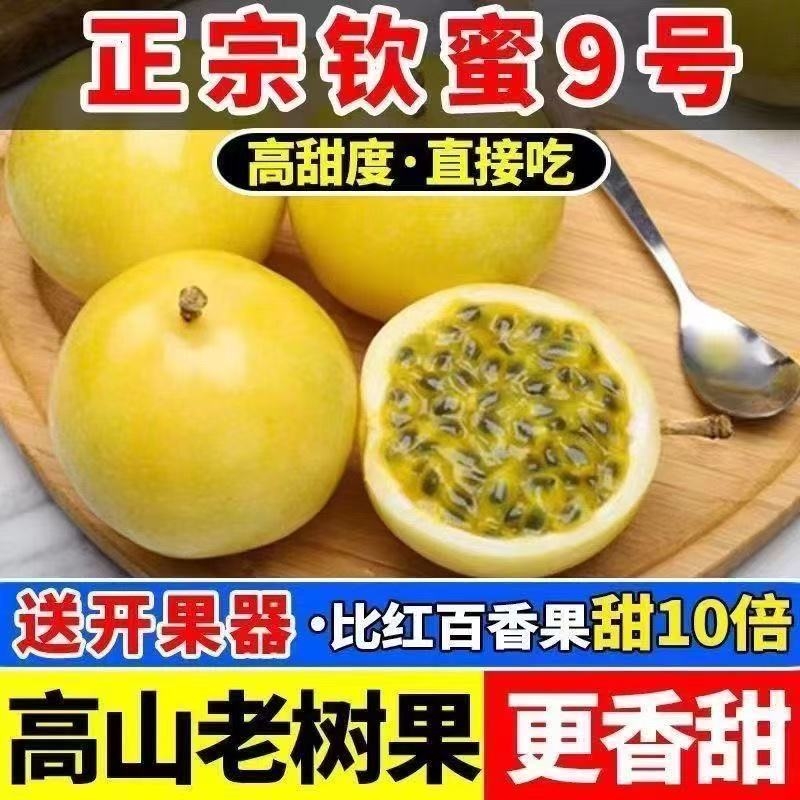 广西钦蜜9号黄金百香果大果整箱孕妇新鲜水果当季九号白香果现摘
