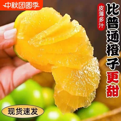 云南哀牢山冰糖橙子新鲜应季孕妇