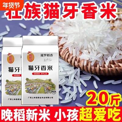 广西上林晚稻新米一级猫牙香米