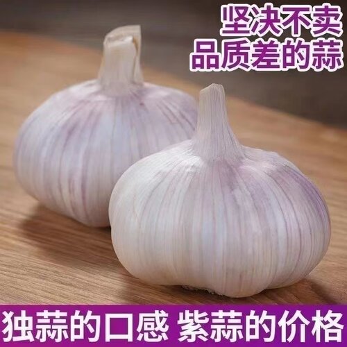 农家新干蒜大蒜头5斤干大蒜紫白皮大蒜200g起紫白皮干蒜晒干蒜头