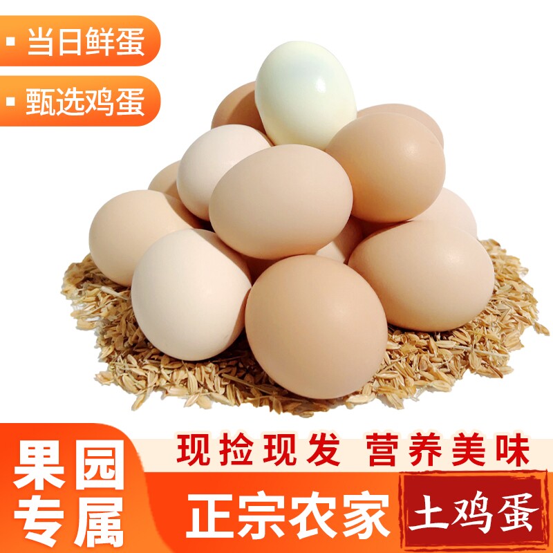 新鲜鸡蛋农家散养正宗土鸡蛋虫草谷物喂养鲜鸡蛋现捡现发50g/枚