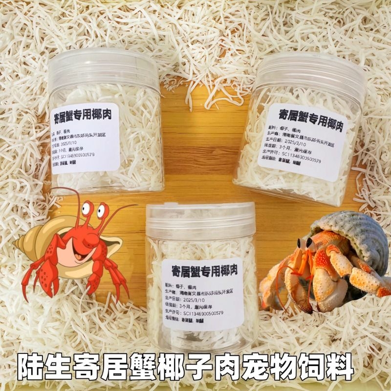寄居蟹沙蟹宠物零食宠物蟹椰食