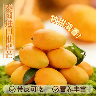 泰国进口枇杷芒新鲜现摘应当季热带罕见水果小鸡蛋果时令芒果