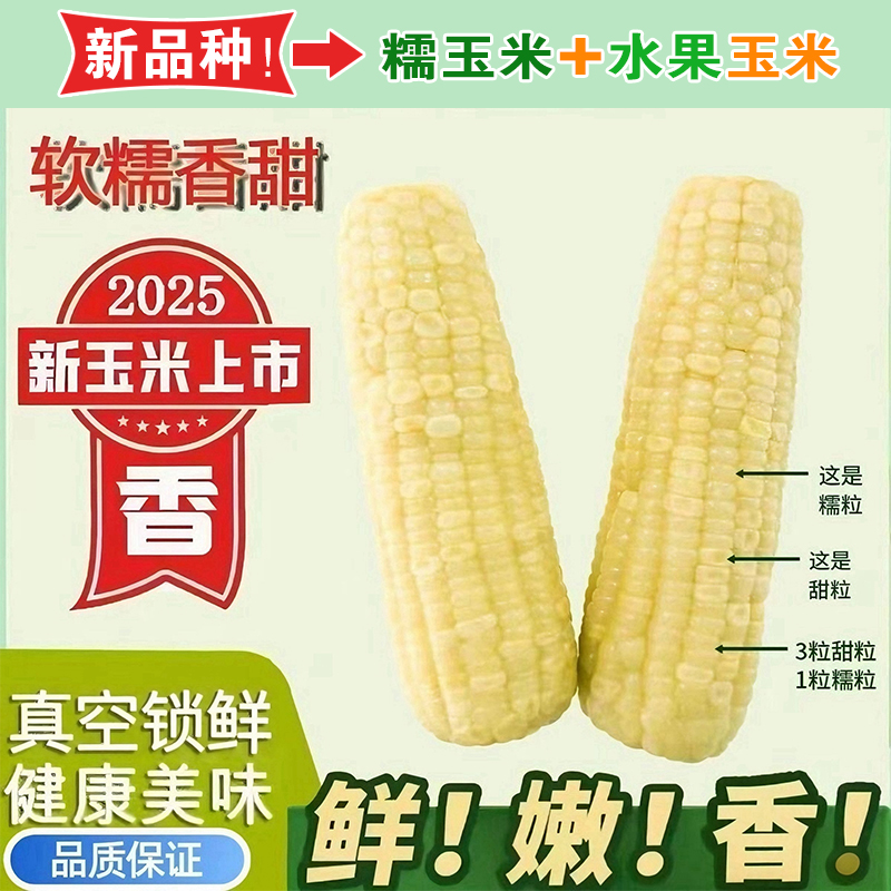 2025年头茬东北白糯玉米甜糯粘玉米真空装非转基因黏苞米粗粮代餐