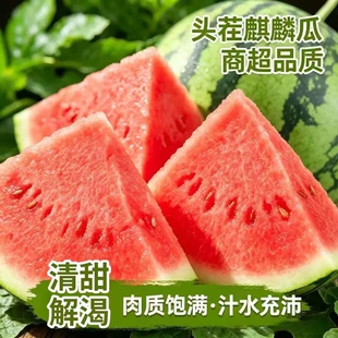 新鲜麒麟西瓜水果当季现摘8424美都有籽薄皮冰淇淋大西瓜整箱无籽