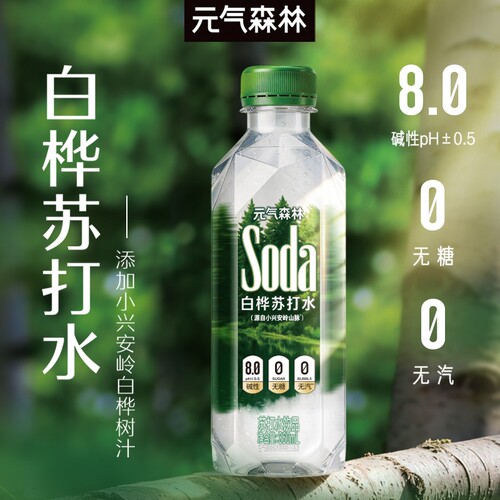 元气森林白桦苏打水360ml*12瓶