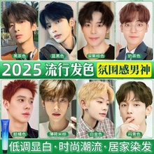 染发膏男士专用免漂奶茶黑灰棕色亚麻金粉冷棕色自己在家染发剂
