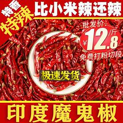 特辣干辣椒辣椒干印度魔鬼辣椒段变态辣椒面超辣干货500g湖南四川