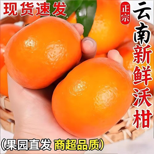 云南正宗沃柑新鲜水果当季现摘蜜橘沙砂糖大桔子橘子柑橘整箱包邮