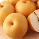 水果丰水梨爆甜鲜美应季 水果脆甜