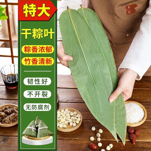 粽子叶干棕叶新鲜粽叶包粽子端午