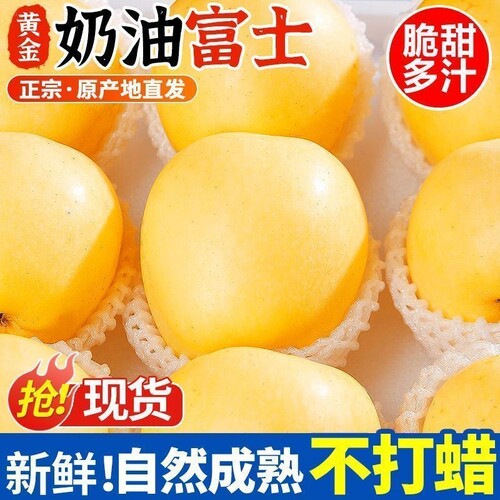 正宗山东黄金奶油富士苹果9斤脆甜当季新鲜苹果孕妇水果整箱多汁