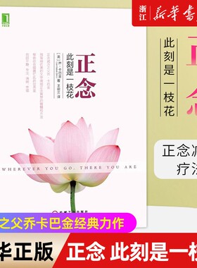 正念此刻是一枝花乔卡巴金作品集多舛的生命之道觉醒地活疗愈的力量人生自我修养书疗法认知改变正版当下沟通冥想积极经典拥抱专注