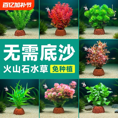 火山石水草鱼缸造景|超1万次加购