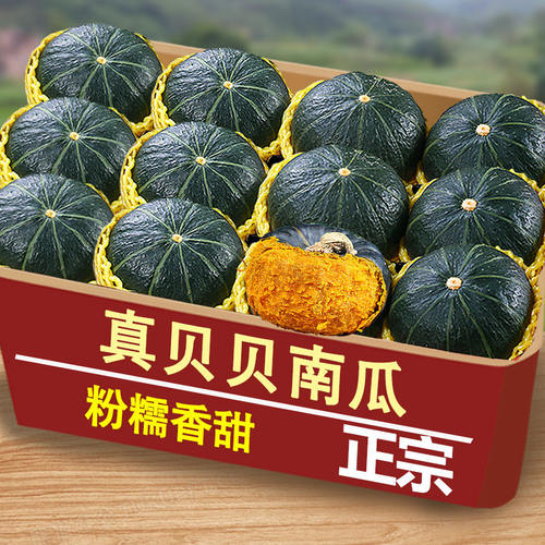 贝贝南瓜板栗味小南瓜