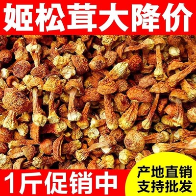 云南特产巴西菇松茸野生菌新鲜煲汤材料真姬松茸干货500g鹿茸菇