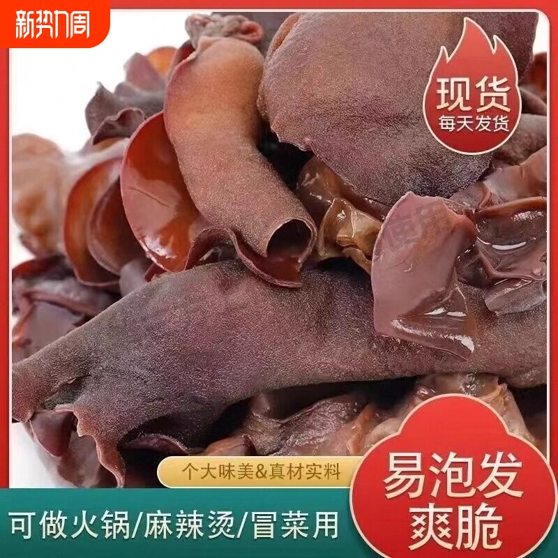 毛木耳干货餐饮火锅食脆木耳农家特产黑木耳凉拌毛木耳