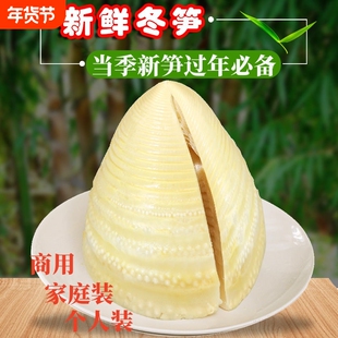 新鲜冬笋竹笋清水水煮袋装火锅煲汤食材美味鲜笋泡椒当季
