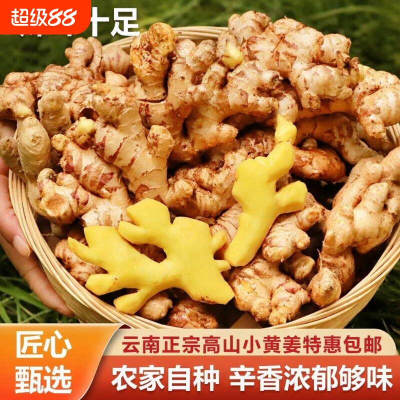 云南小黄姜5kg新鲜|超1000次加购图片