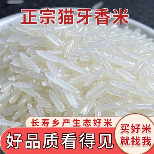 正宗猫牙米5kg|超8000次加购