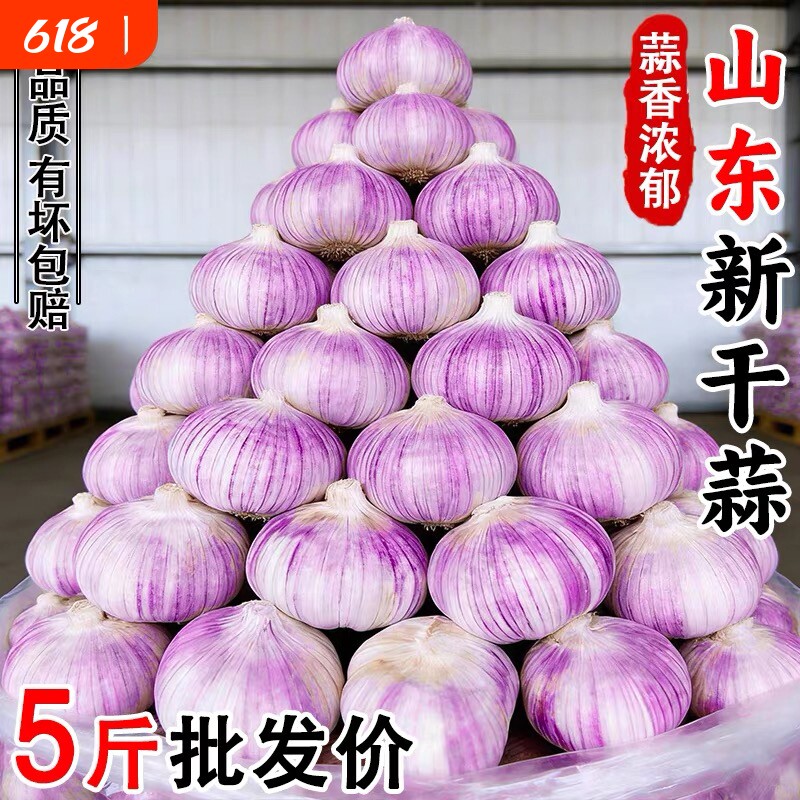 金乡大蒜农家大蒜头干蒜紫白皮新干蒜种籽新鲜蔬菜新大蒜头生鲜