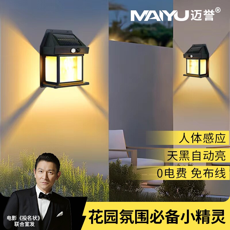 欧式简约太阳能壁灯智能感应室外灯别墅门廊走廊楼梯专用防水灯