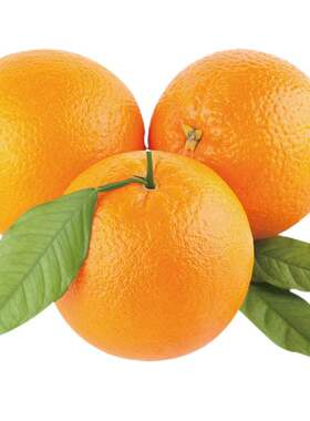 正宗纯甜伦晚脐橙秭归橙子新鲜水果春橙5/9斤当季应季大果冰糖甜