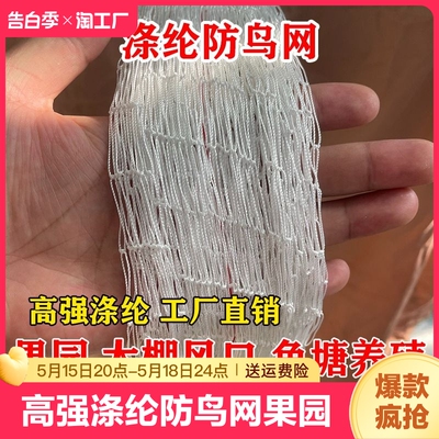 高强涤纶防鸟用网轮胎线养殖天网