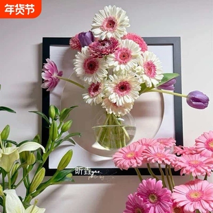 非洲菊鲜花云南昆明基地发速递家用水养插花室内花期客厅热恋生日