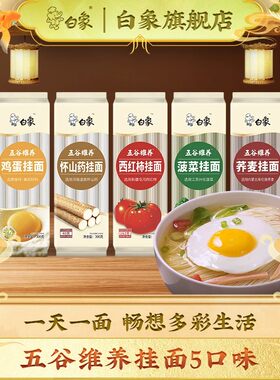 白象蔬菜挂面300g*5袋四口味速食