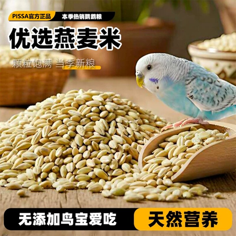 鹦鹉饲料加纳利子鸟食鸟粮新货大颗粒玄凤虎皮牡丹中小型鹦鹉饲料