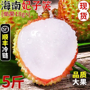 海南妃子笑荔枝新鲜水果5斤当季现摘桂花荔枝香老树大果顺丰包邮